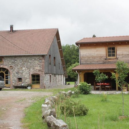 Gites Typiques Au Coeur Des Hautes Vosges Saulxures-sur-Moselotte Εξωτερικό φωτογραφία