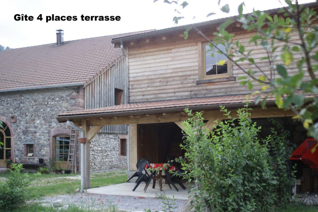 Gites Typiques Au Coeur Des Hautes Vosges Saulxures-sur-Moselotte Εξωτερικό φωτογραφία