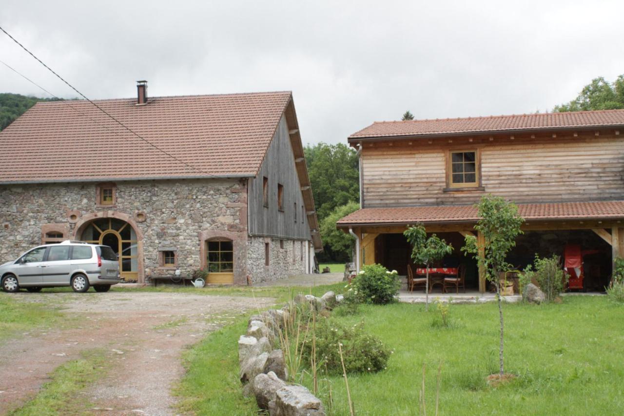 Gites Typiques Au Coeur Des Hautes Vosges Saulxures-sur-Moselotte Εξωτερικό φωτογραφία