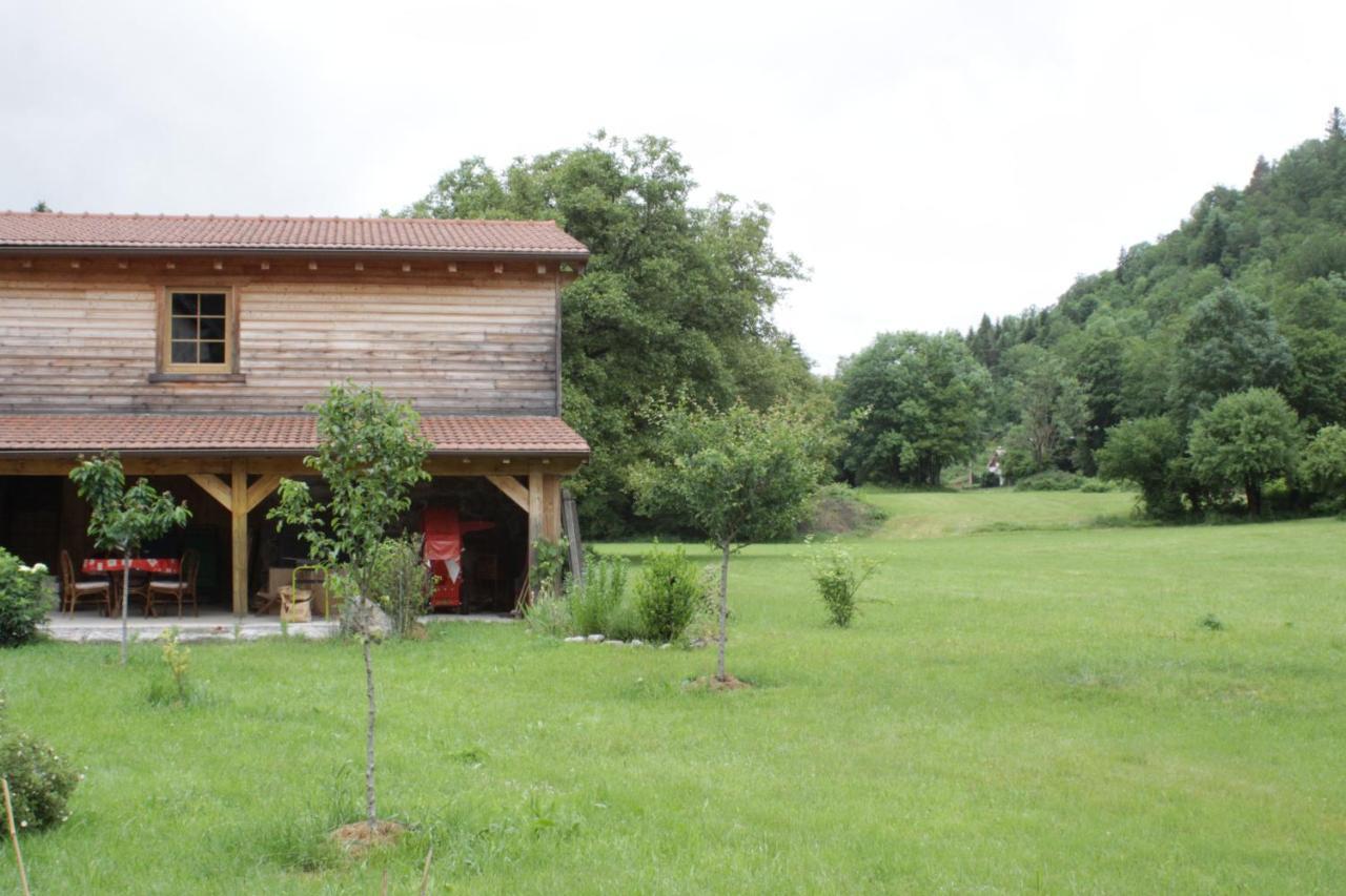 Gites Typiques Au Coeur Des Hautes Vosges Saulxures-sur-Moselotte Εξωτερικό φωτογραφία